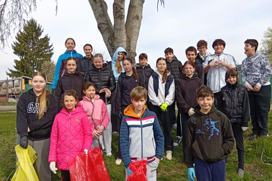 4882aeda-f543-4663-8246-d8ba9659f8fa