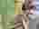508976409_122265490940008251_478283209536096876_n