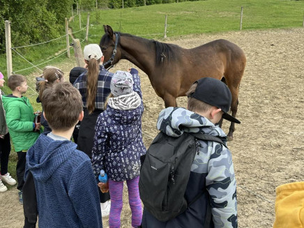 436153196_122188290428008251_4838027003755711533_n