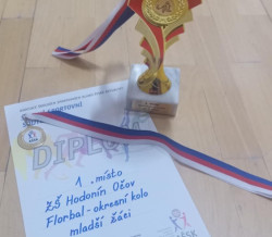 Florbal mladší žáci - (dvojnásobní) MISTŘI OKRESU