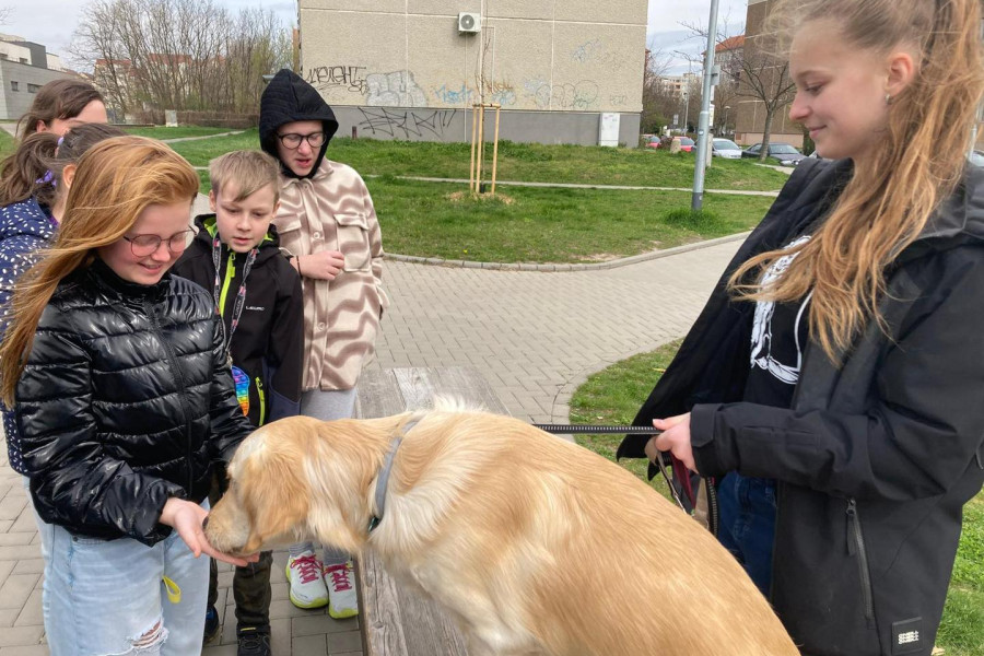 441898849_122188288490008251_4103058798521360871_n