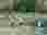 512678564_122266449566008251_1661420748537100458_n