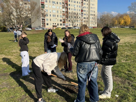 584448903_122290925420008251_7238768952374218034_n