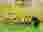 thumbnail_1000056275