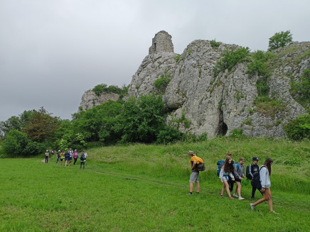 thumbnail_IMG20230606130737