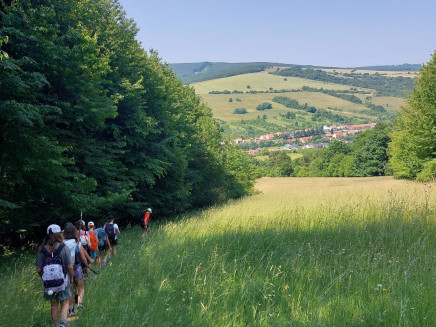 507410563_122265052820008251_9011526554662373796_n