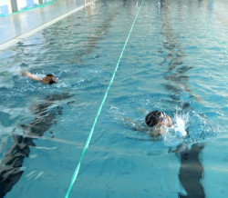 Plavání - 2. ročník