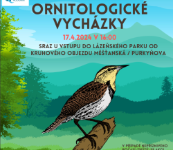 Ornitologická procházka
