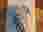 7c60484c-6cc1-44ef-87d1-92b6216d7e87