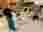 f26b0c5d-eede-495a-8e8a-5f4a639db3d5