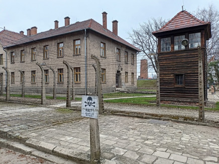 thumbnail_IMG20230327140002