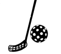 Florbal - starší žáci