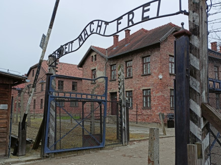 thumbnail_IMG20230327124457