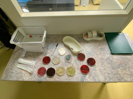 424687498_904223005039417_991998080523948990_n