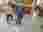 4d73c3ad-e1a0-4e52-b003-fd21fa82971f