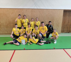 Okresní kolo ve vybíjené