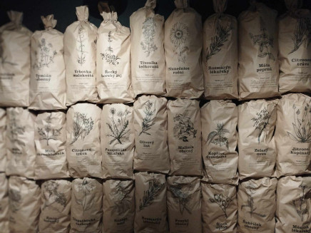 8931ff5e-c224-41f5-b7b5-e8f6aac0c892