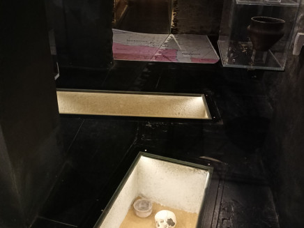 thumbnail_IMG20230605113946