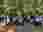 499733952_122259901160008251_582831744630505458_n