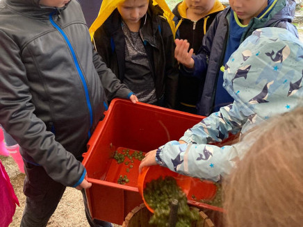 558227553_122284401104008251_3043618698038711638_n