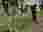 0ead9074-3a0b-4400-b71b-806ee45f92dd
