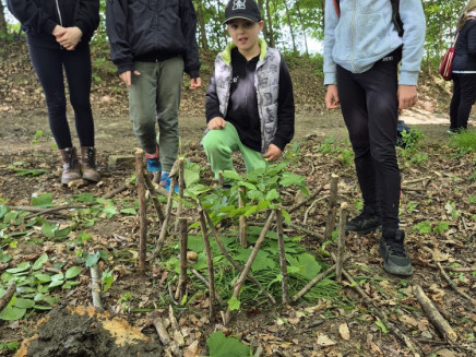 0ead9074-3a0b-4400-b71b-806ee45f92dd