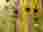 thumbnail_image5
