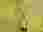 thumbnail_1000056277