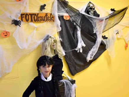 bzqv1oqr44xim3s-313230302e2e38302e31