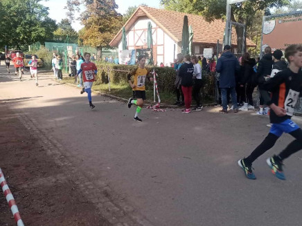 received_181771398313254