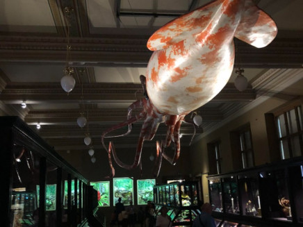 received_281462367746058