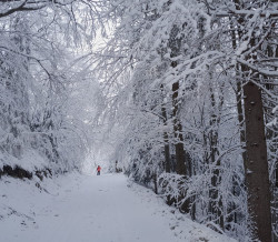 Lyžařský výcvikový kurz 5.B, 5.C ,7.D