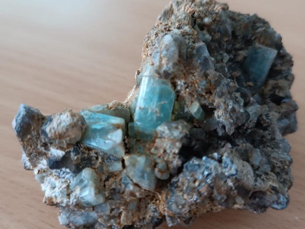 424618548_122168915924008251_5619117288495372428_n