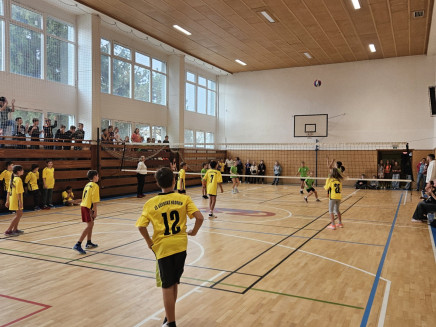 thumbnail_20241115_122903(0)