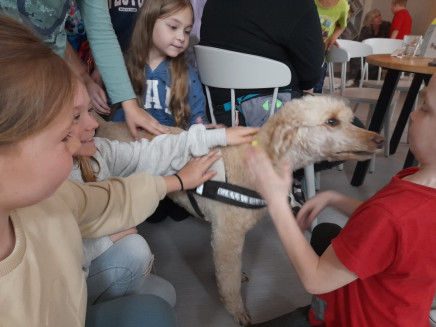 d16938ab-ab12-4e6e-b8bc-d5a270a662a2