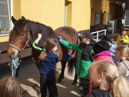 441504480_122188290386008251_8933397256224340258_n