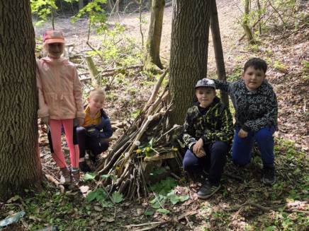 5b4c1a2c-1138-4f5a-8d47-c92224bd81d5