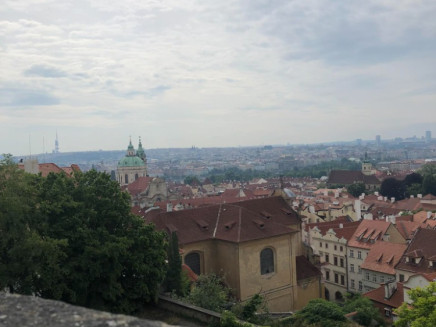 received_3146793875620135