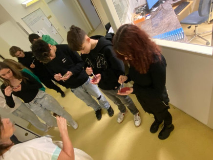 424667274_904223018372749_1837397037019938672_n