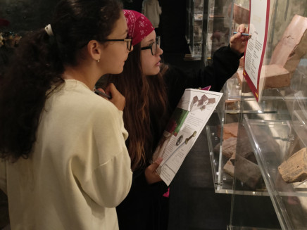 thumbnail_IMG20230605105050