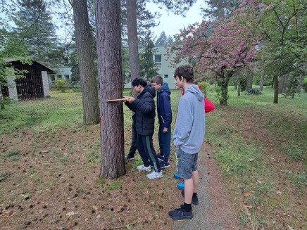 437564646_122181946952008251_5064505905852787793_n