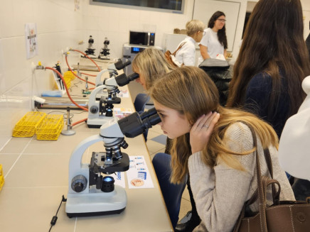 2added98-9ae8-4551-ac66-6cd6ab31de30