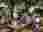 510419181_122266300490008251_1893684684327992658_n