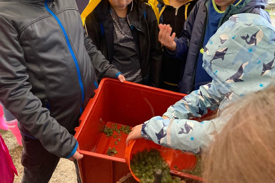 558227553_122284401104008251_3043618698038711638_n