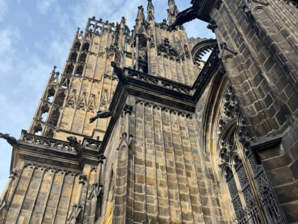 received_203096106032999