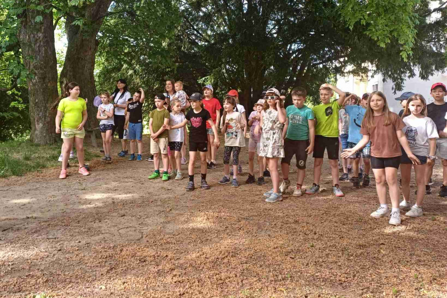 3A+3C-švp-03