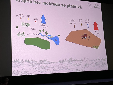 thumbnail_image_67155457