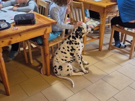 34a2fa6e-2b9d-4453-aab9-155310bbe0b9