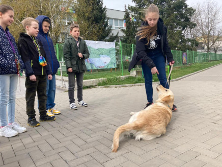 442378178_122188288508008251_1322787708045045243_n