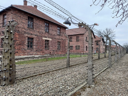 thumbnail_IMG20230327140606